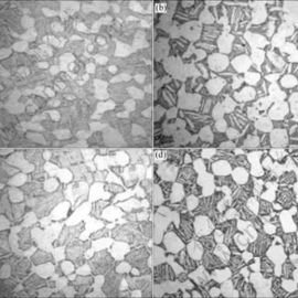 Metallographic analysis of Titanium